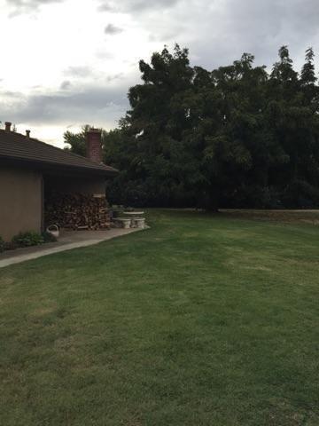 91 Nielson Ave, Gridley, CA 95948 photo 4