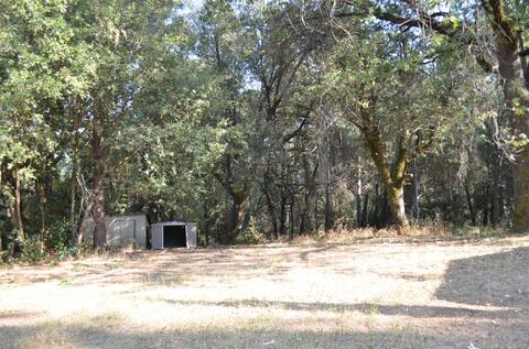 19036 Toyon Rd, Pine Grove, CA 95665 photo 5