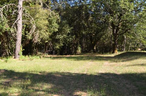 19036 Toyon Rd, Pine Grove, CA 95665 photo 14