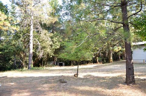 19036 Toyon Rd, Pine Grove, CA 95665 photo 3