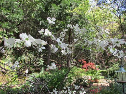 2800 Highway 50, Placerville, CA 95667 photo 13