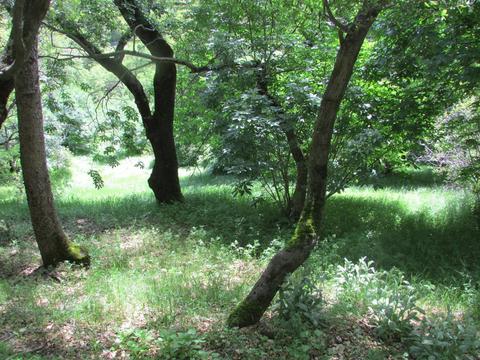 2800 Highway 50, Placerville, CA 95667 photo 15