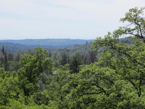2800 Highway 50, Placerville, CA 95667 photo 14