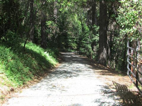 2800 Highway 50, Placerville, CA 95667 photo 2