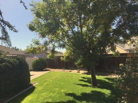 5101 Monroe Way, Ceres, CA 95307 photo 23