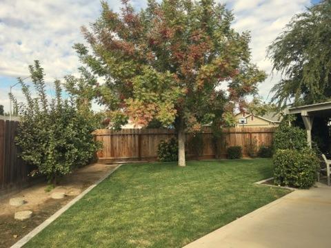 5101 Monroe Way, Ceres, CA 95307 photo 20