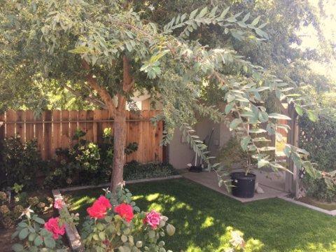 5101 Monroe Way, Ceres, CA 95307 photo 22
