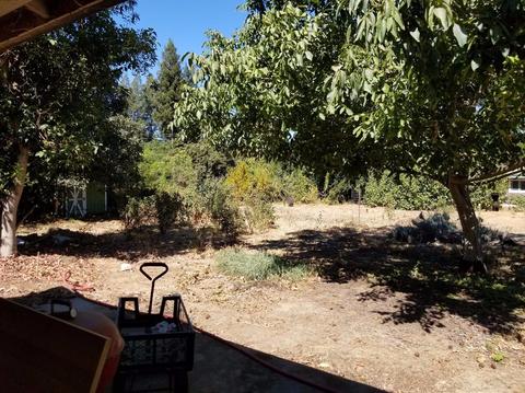 43384 Montgomery Ave, Davis, CA 95618 photo 18