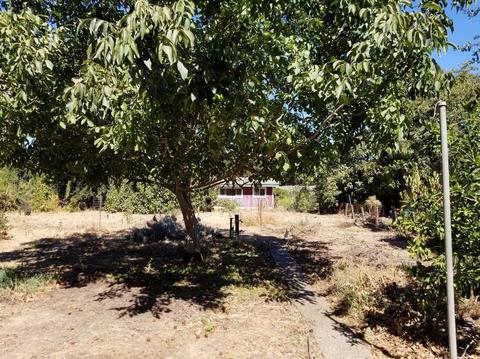 43384 Montgomery Ave, Davis, CA 95618 photo 17