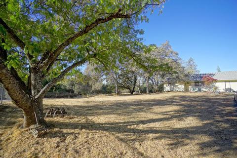 1890 Lady Bug Ln, Placerville, CA 95667 photo 3