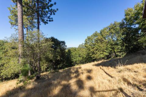 14665 Surrey Junction Ln, Sutter Creek, CA 95685 photo 27