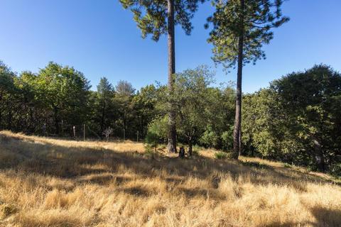 14665 Surrey Junction Ln, Sutter Creek, CA 95685 photo 28