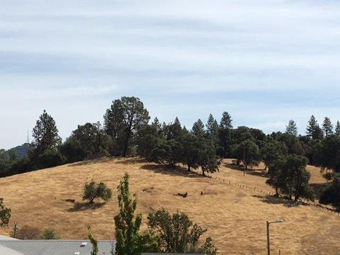 20 Rollingwood #202, Jackson, CA 95642 photo 5