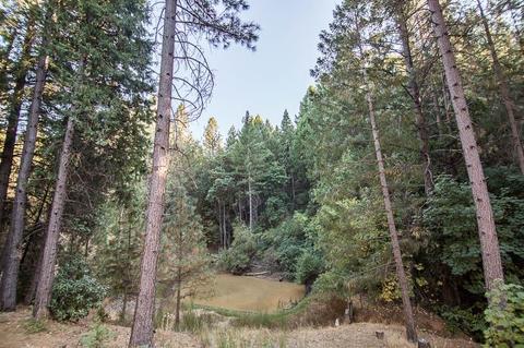 6981 Goferbroke Rd, Georgetown, CA 95634 photo 25