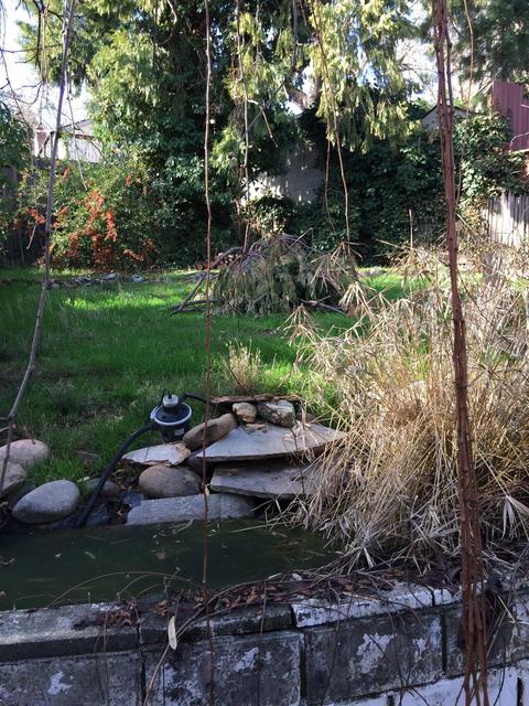 1156 Elm Ave, Placerville, CA 95667 photo 24