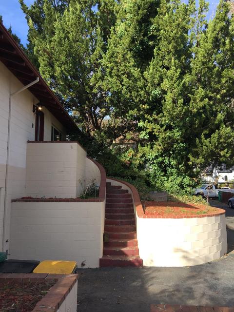 1156 Elm Ave, Placerville, CA 95667 photo 3