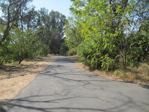 201 Creekside Way, Winters, CA 95694 photo 4