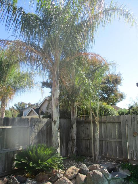2068 Elwin Way, Modesto, CA 95350 photo 14