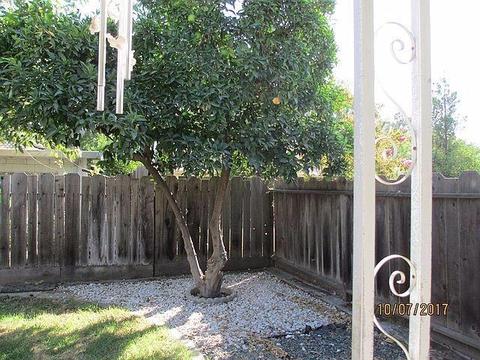 404 Kavanagh Ave, Modesto, CA 95350 photo 15
