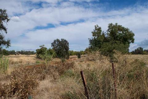 26945 County Road 97d, Davis, CA 95616 photo 27