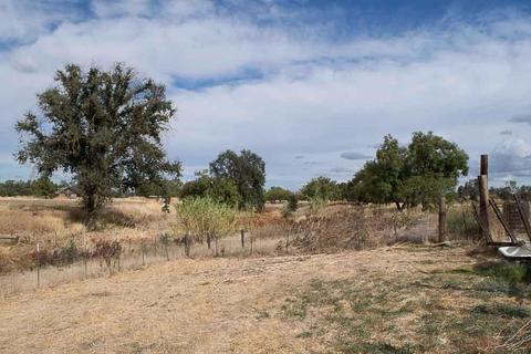 26945 County Road 97d, Davis, CA 95616 photo 25
