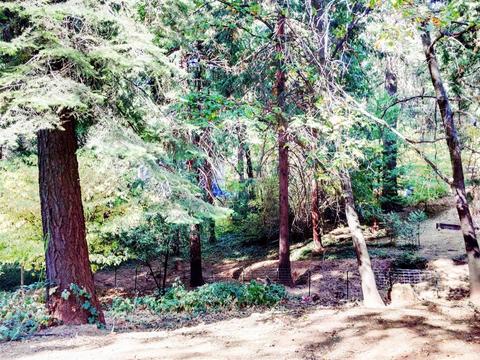 2884 Laurel Dr, Pollock Pines, CA 95726 photo 20