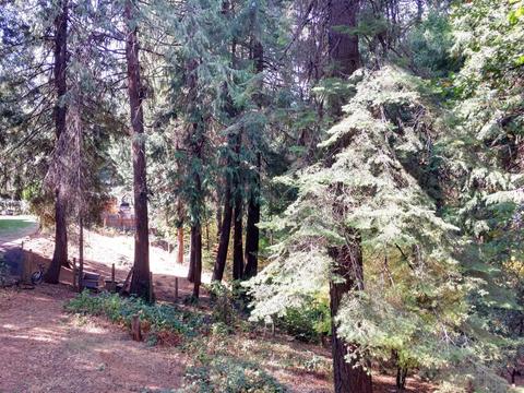 2884 Laurel Dr, Pollock Pines, CA 95726 photo 22