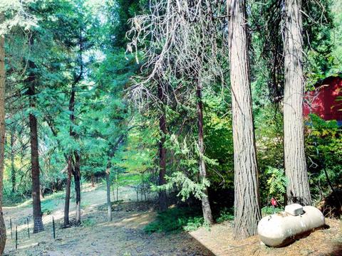 2884 Laurel Dr, Pollock Pines, CA 95726 photo 23