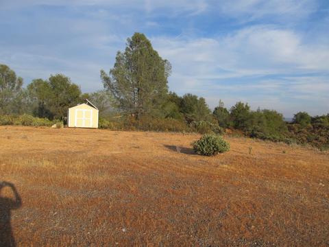 16893 Aubrey Ln, Jackson, CA 95642 photo 5