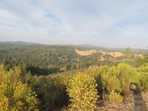 16893 Aubrey Ln, Jackson, CA 95642 photo 4