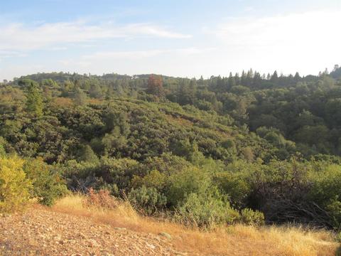 16893 Aubrey Ln, Jackson, CA 95642 photo 6
