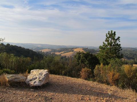 16893 Aubrey Ln, Jackson, CA 95642 photo 2