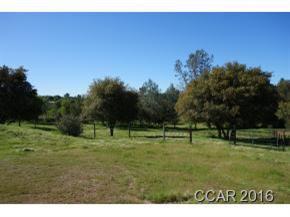 3005 Salmon Rd, Copperopolis, CA 95228 photo 22