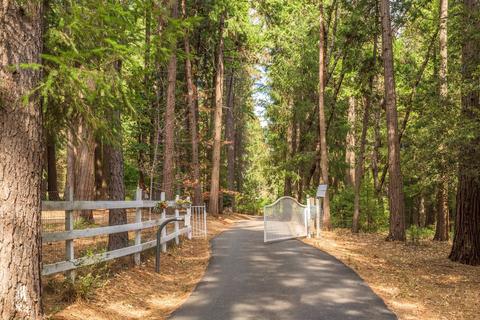 13404 Silene Ct, Grass Valley, CA 95945 photo 27