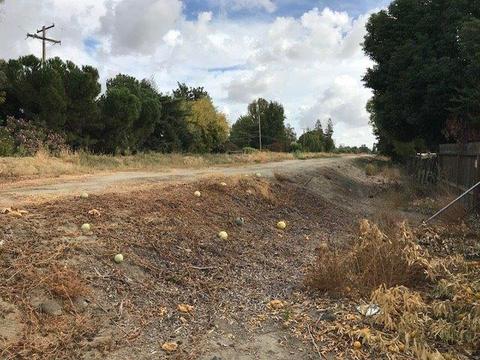 2401 Corbin Ln, Lodi, CA 95242 photo 18