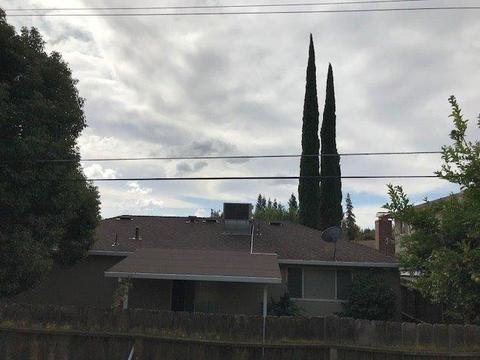 2401 Corbin Ln, Lodi, CA 95242 photo 19