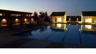 1692 Harvest St, Davis, CA 95618 photo 5