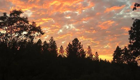16450 Jon Eric Ct, Grass Valley, CA 95949 photo 1