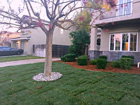 5512 Marden Dr, Davis, CA 95618 photo 2