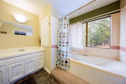 2520 Fork House Ct, Cool, CA 95614 photo 20