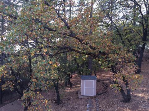 2520 Fork House Ct, Cool, CA 95614 photo 36