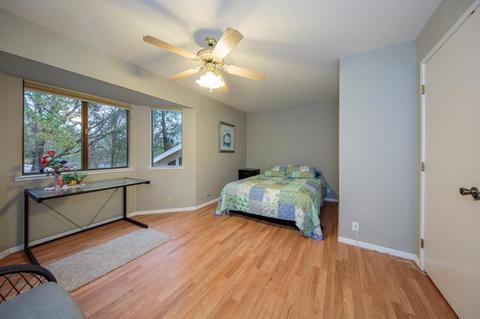 2520 Fork House Ct, Cool, CA 95614 photo 24
