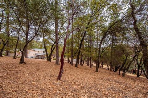 2520 Fork House Ct, Cool, CA 95614 photo 27