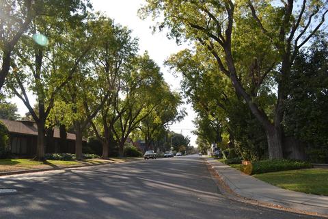 1002 Douglas Ave, Modesto, CA 95350 photo 30