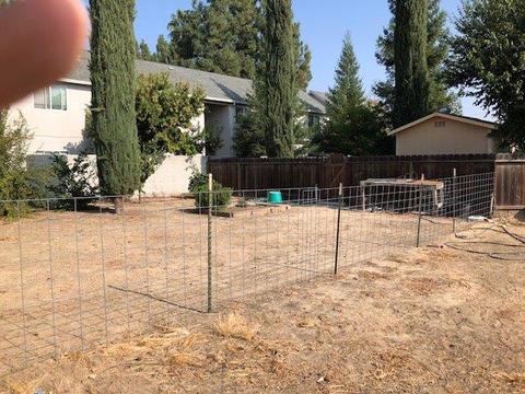 1007 N Mitchell Ave, Turlock, CA 95380 photo 12