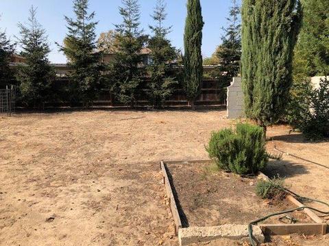 1007 N Mitchell Ave, Turlock, CA 95380 photo 10