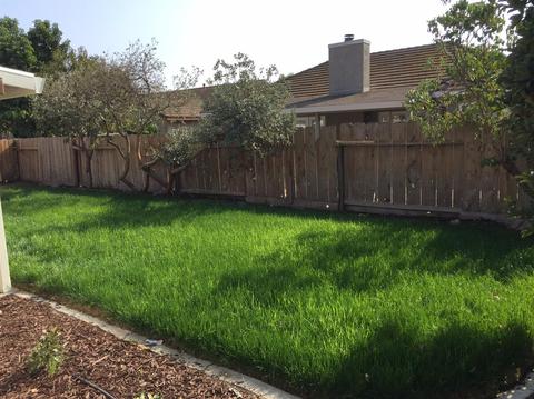 178 Gail Dr, Lathrop, CA 95330 photo 21