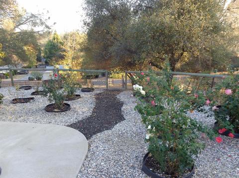 84 Blue Jay Dr, Placerville, CA 95667 photo 6