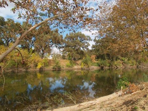 1741 River Rd, Modesto, CA 95351 photo 4