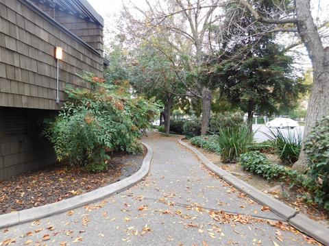 501 Rose Ave #5, Modesto, CA 95355 photo 3
